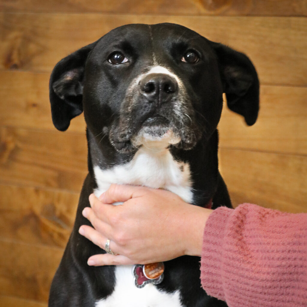 Lucy Professional Headshot